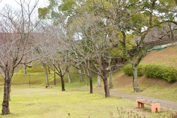 Paisaje Del Campo Árboles Pasto Jardín Japón —  Fotos de Stock