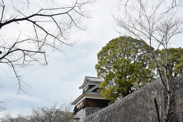 熊本城は火災で焼失したが 日本では再建 保存されている — ストック写真