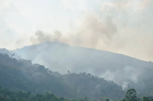 wildfire on Khao Pra mountain in Thailand destroy forest and pollution