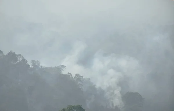 Wildfire Górze Khao Pra Tajlandii Zniszczyć Lasy Zanieczyszczenia — Zdjęcie stockowe