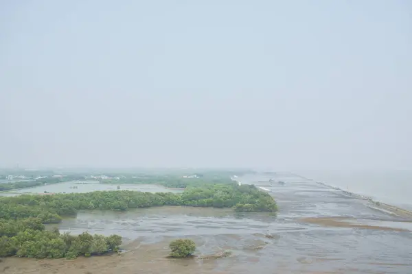 Mangrovový Les Pro Ochranu Pláže Thajsku — Stock fotografie