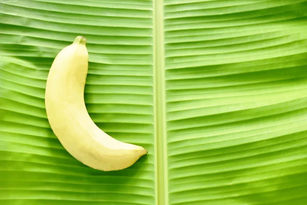 Golden Banana Arranging Green Leaf Background — Stock Photo, Image