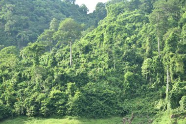 Klong Klang su rezervuarı gölü, Tayland 'da dağ arkaplanı.