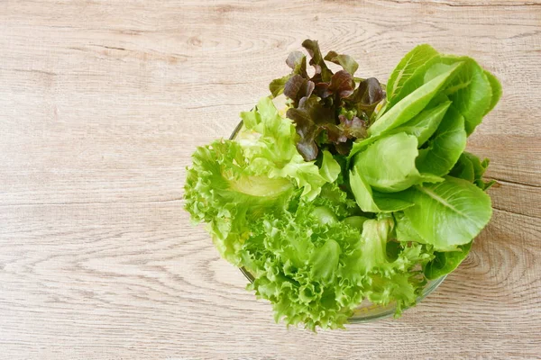 Vers Rood Groen Eiken Paar Omdat Sla Groente Salade Met — Stockfoto