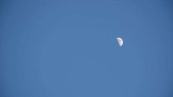 Meia Lua Flutuando Céu Crepúsculo Fundo — Vídeo de Stock