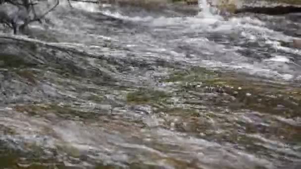 岩の上を流れる水や川の中で水しぶきを波 — ストック動画