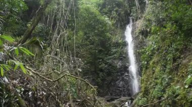 Su, Tayland 'daki Pha Gnam Gnon şelalesinde taştan taşa dökülüyor.