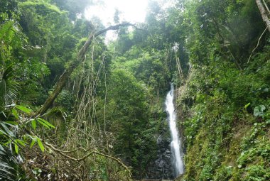 Su, Tayland 'daki Pha Gnam Gnon şelalesinde taştan taşa dökülüyor.