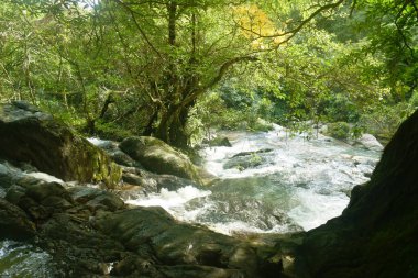 Su, Tayland 'ın kuzeyinde Chet Kod şelalesinde nehir geçidine taş ve kaya döküyor. 