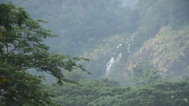 Landschaft Von Sarika Großer Wasserfall Fällt Von Berg Mit Nebel — Stockvideo