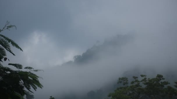 Paysage Montagne Avec Brume Cascade Nang Rong Thaïlande — Video