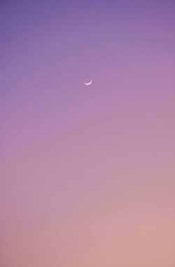 Yarım ay alacakaranlık gökyüzünde süzülüyor.