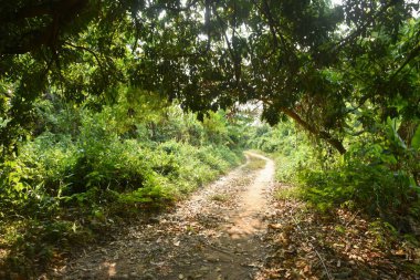 Khao Hua Muak 'a giden patika Tayland' da dağda şapka takıyormuş gibi görünüyor.