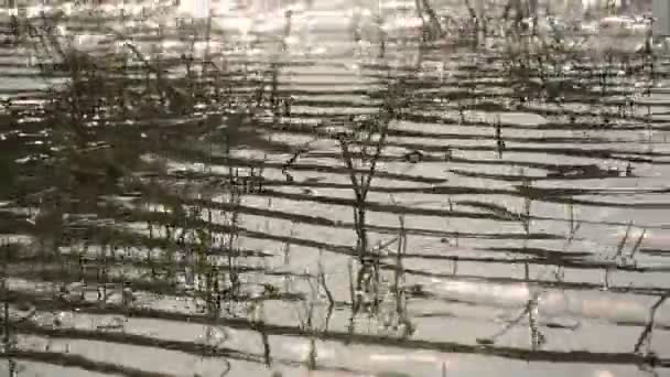 泰国Klong Bot水库湖水的波纹和流动 — 图库视频影像