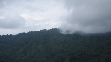 Tayland 'daki Sai Thong su deposunda yağmur bulutu ve sisle kaplı dağ manzarası.