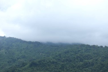 landscape of mountain with rain cloud and mist at Sai Thong water reservoir lake in Thailand clipart