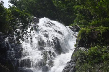 Sarika 'nın büyük şelalesinin Tayland' daki orman gezisi konumu