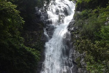 Sarika 'nın büyük şelalesinin Tayland' daki orman gezisi konumu