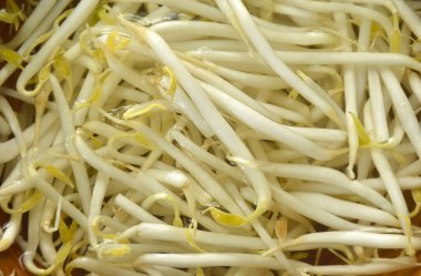 Temizlik için suda yüzen taze fasulye filizi kasede pişirmeye hazır olun.  