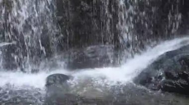 Sa Lad Dai Şelalesi Banna 'daki ormanda Tayland' a seyahat ediyor.