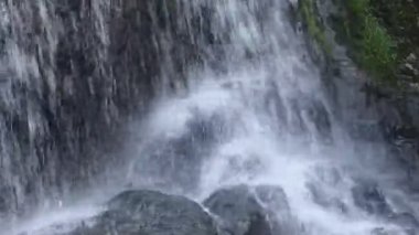 Sa Lad Dai Şelalesi Banna 'daki ormanda Tayland' a seyahat ediyor.