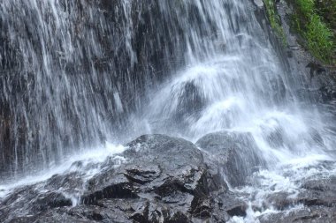 Sa Lad Dai Şelalesi Banna 'daki ormanda Tayland' a seyahat ediyor.