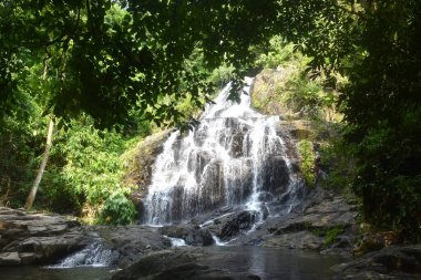Sa Lad Dai Şelalesi Banna 'daki ormanda Tayland' a seyahat ediyor.
