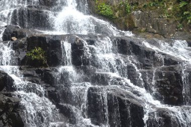 Sa Lad Dai Şelalesi Banna 'daki ormanda Tayland' a seyahat ediyor.