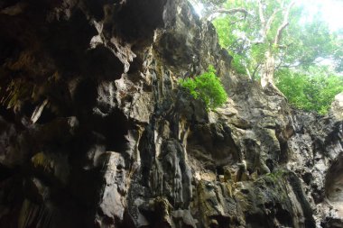 Güneş ışığı alan dikitler ve sarkıtlar Tayland 'daki Khao Luang mağarasındaki mağaradan geçecekler.