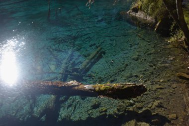 Jiuzhaigou Gölü 'ndeki beş çiçekli gölde temiz su Çin' deki doğal park yeri. 