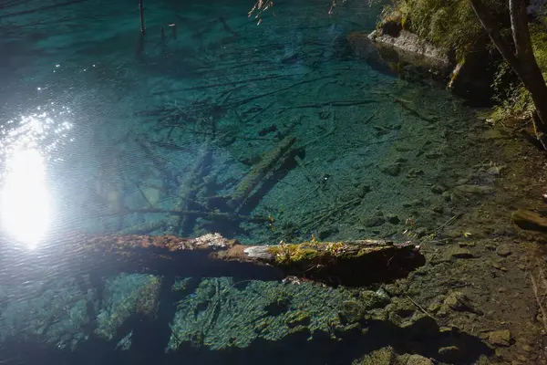 Jiuzhaigou Gölü 'ndeki beş çiçekli gölde temiz su Çin' deki doğal park yeri. 