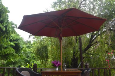 Çiçek saksısıyla süslenmiş mavi orkide ve ahşap masada fener ve terasta uzun kırmızı şemsiye sapı var.