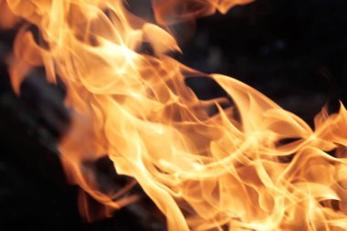 Odaklanamayan, soyut ve dokulu alevler bir yığın kuru yaprağı yakıyor..