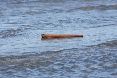 Denize sürüklenen bambu çubuklar ve sular çekildiğinde kumda yıkanırlar..