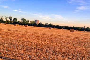 Büyümek, hasat etmek ve kendi samanını balyalamak. Balya samanları daha kolay ulaşım veya depolama için daha kompakt hale getirir, özellikle satılacaksa.. 