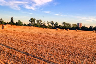 Büyümek, hasat etmek ve kendi samanını balyalamak. Balya samanları daha kolay ulaşım veya depolama için daha kompakt hale getirir, özellikle satılacaksa.. 