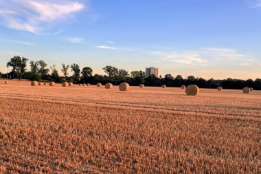 Saman balya alan. Yaz sonunda hasat.