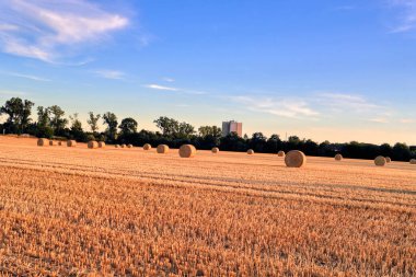 Saman balya alan. Yaz sonunda hasat.