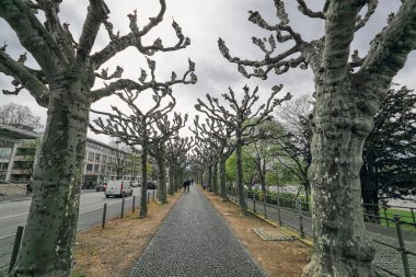 Frankfurt am Main Allee, ana nehir boyunca dünyaca ünlü bir şehir simgesidir.