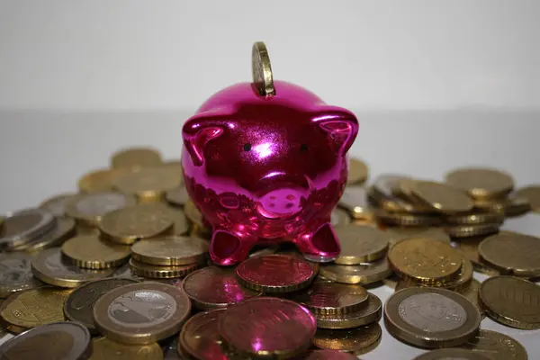 Kleines Sparschwein mit einer Geldmnze