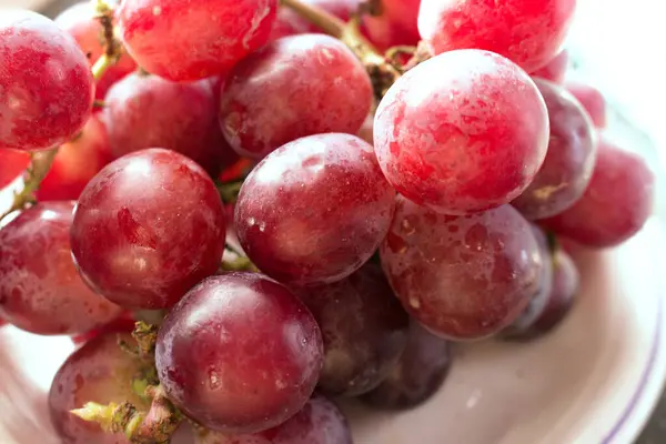 Rote Weintrauben Singh Saftig, und voller Antioxidantien. Sie eignen sich perfekt als Snack zwischendurch oder als Zutat fr leckere Desserts und Salate. Geniee sie pur oder gepresst als erfrischenden Saft oder Wein. 