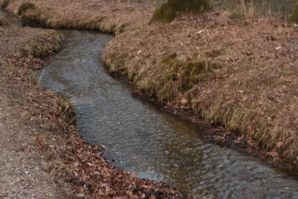 Ein Fluss im Herbst zeigt sich in warmen Farben, das Laub der Bume spiegelt sich im ruhigen Wasser. Die Natur bereitet sich auf den Winter vor, Voegel ziehen gen Sueden. Bild, das Ruhe und Gelassenheit ausstrahlt.