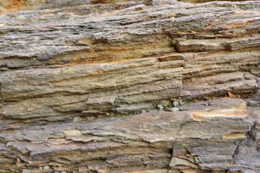 Kükürt ve pirit içeren kahverengi ve turuncu tortulu bir kaya.