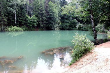 Rudawy Janowickie, Sudetes dağları ve Polonya 'daki ağaçlar arasında masmavi bir lakelet manzarası