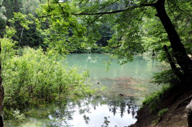 Rudawy Janowickie, Sudetes dağları ve Polonya 'daki ağaçlar arasında masmavi bir lakelet manzarası