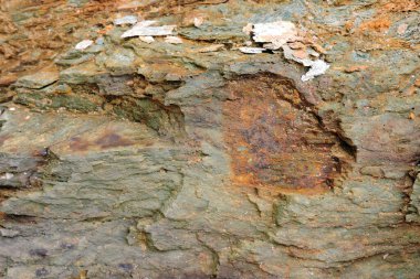 Kükürt ve pirit içeren kahverengi ve turuncu tortulu bir kaya.