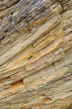 Kükürt ve pirit içeren kahverengi ve turuncu tortulu bir kaya.