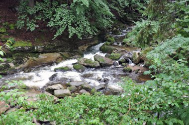 A wonderful view of a mountain creek called Szklarka, some rocks in a brook in the forest in the Karkonosze Mountains in Poland