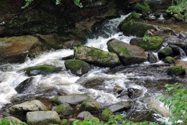 A wonderful view of a mountain creek called Szklarka, some rocks in a brook in the Karkonosze Mountains in Poland