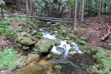 A wonderful view of a mountain creek called Szklarka, some rocks in a brook, a fallen tree over the stream, a path in the forest in the Karkonosze Mountains in Poland